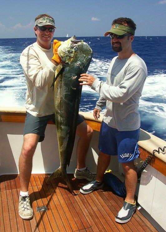 Click to See Next Image